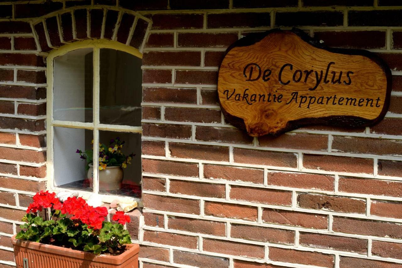 De Corylus Vakantie Appartement Oosterhesselen Ngoại thất bức ảnh